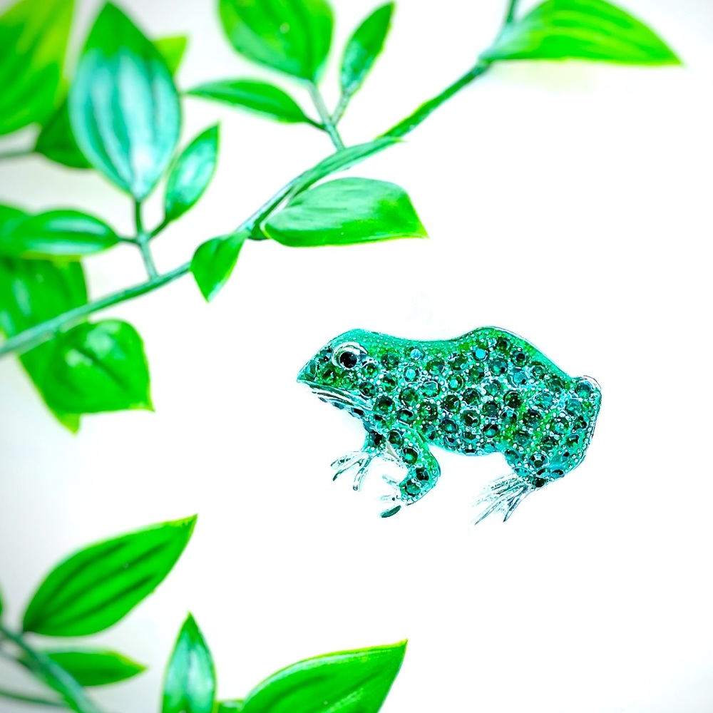Brooch🐸